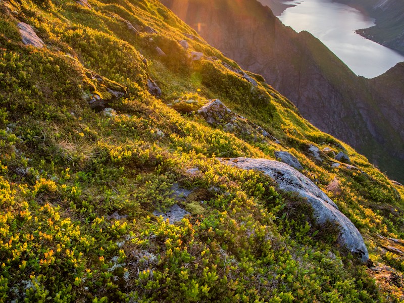 Morgen-Run bei Sonnenaufgang 🌅🏃♂️ 6 Uhr, 8 km, Salzburger Land. Wenn die Welt noch schläft, gehört die Straße dir allein.